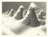 GRANT WOOD January.